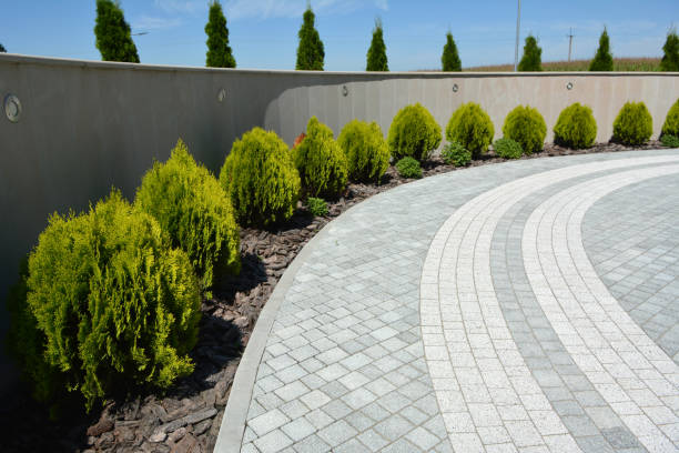 Best Driveway Pavers for Homes  in Newton, TX